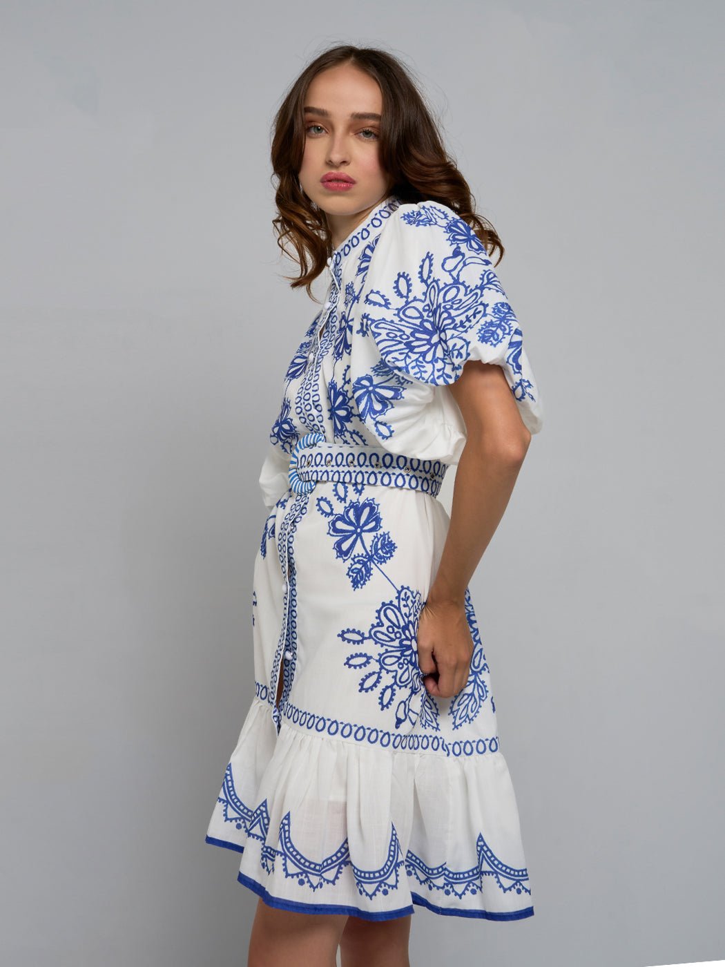 Mirca Embroidered Puff - Sleeve Mini Dress - Glory Connection