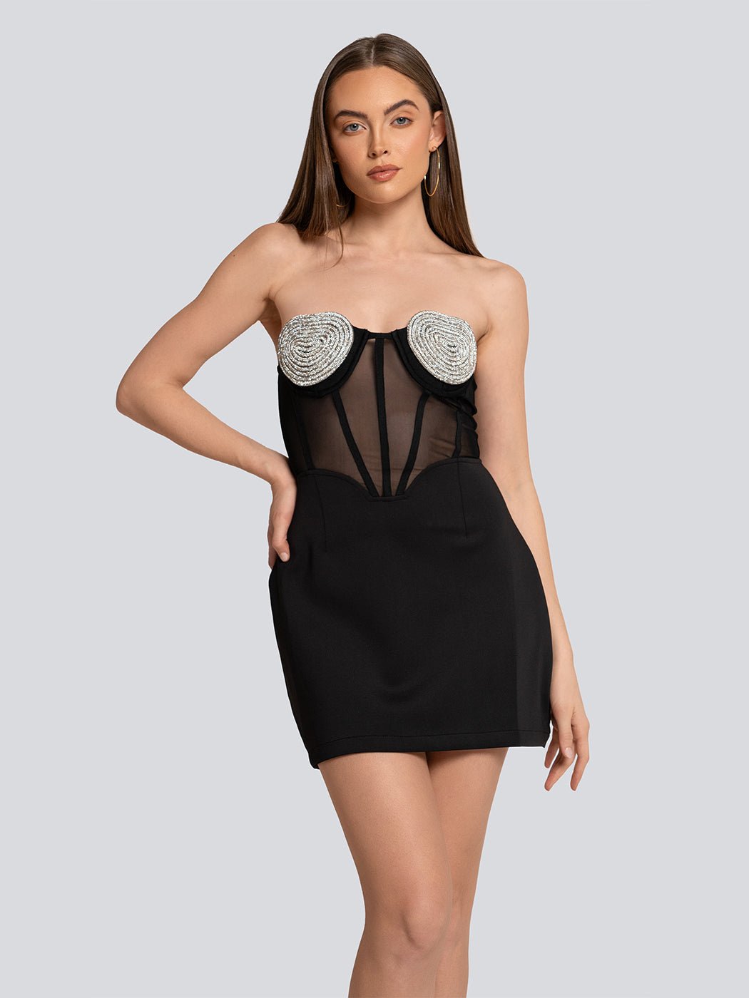 Serenity Embellished Sculpted Corset Sheer Mini Dress - Glory Connection