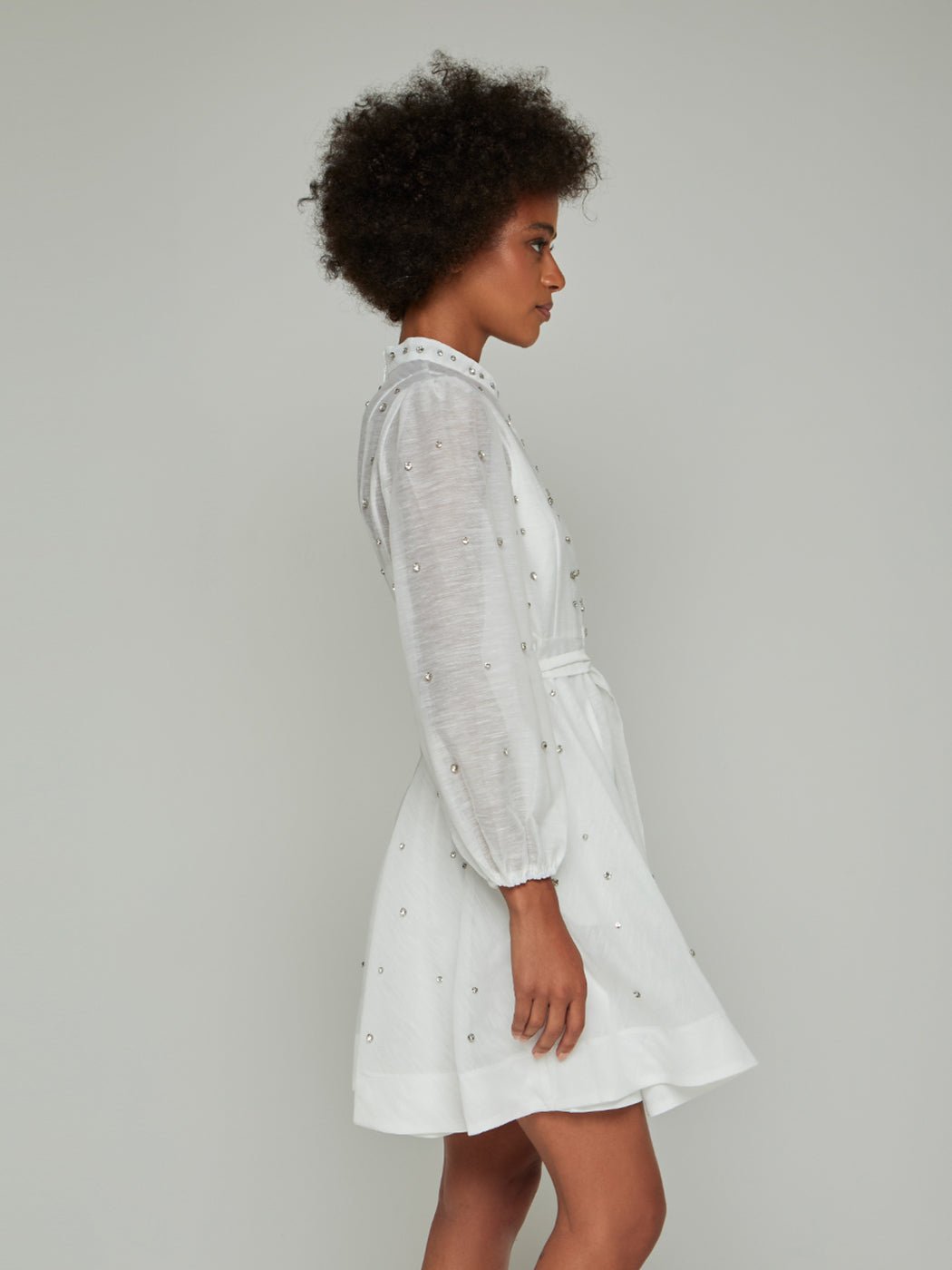 Sorelina Lantern Sleeve Rhinestone Mini Dress - Glory Connection