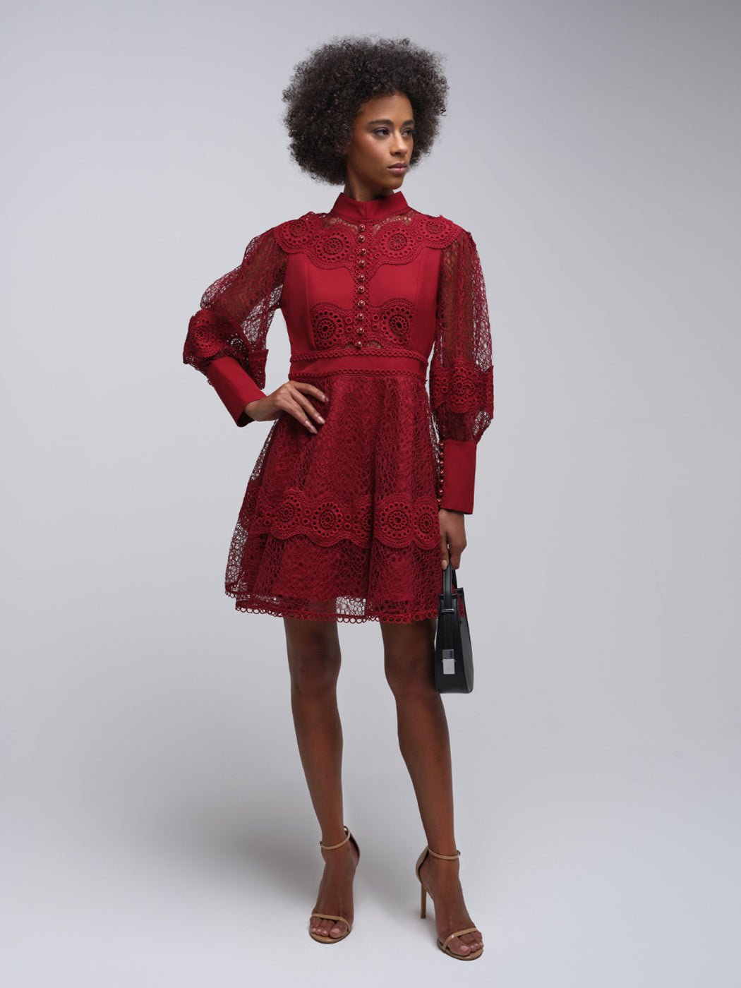 Tessie Mesh Applique Buttoned Mini Dress - Glory Connection