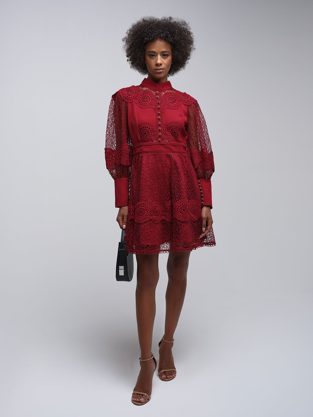 Tessie Mesh Applique Buttoned Mini Dress - Glory Connection