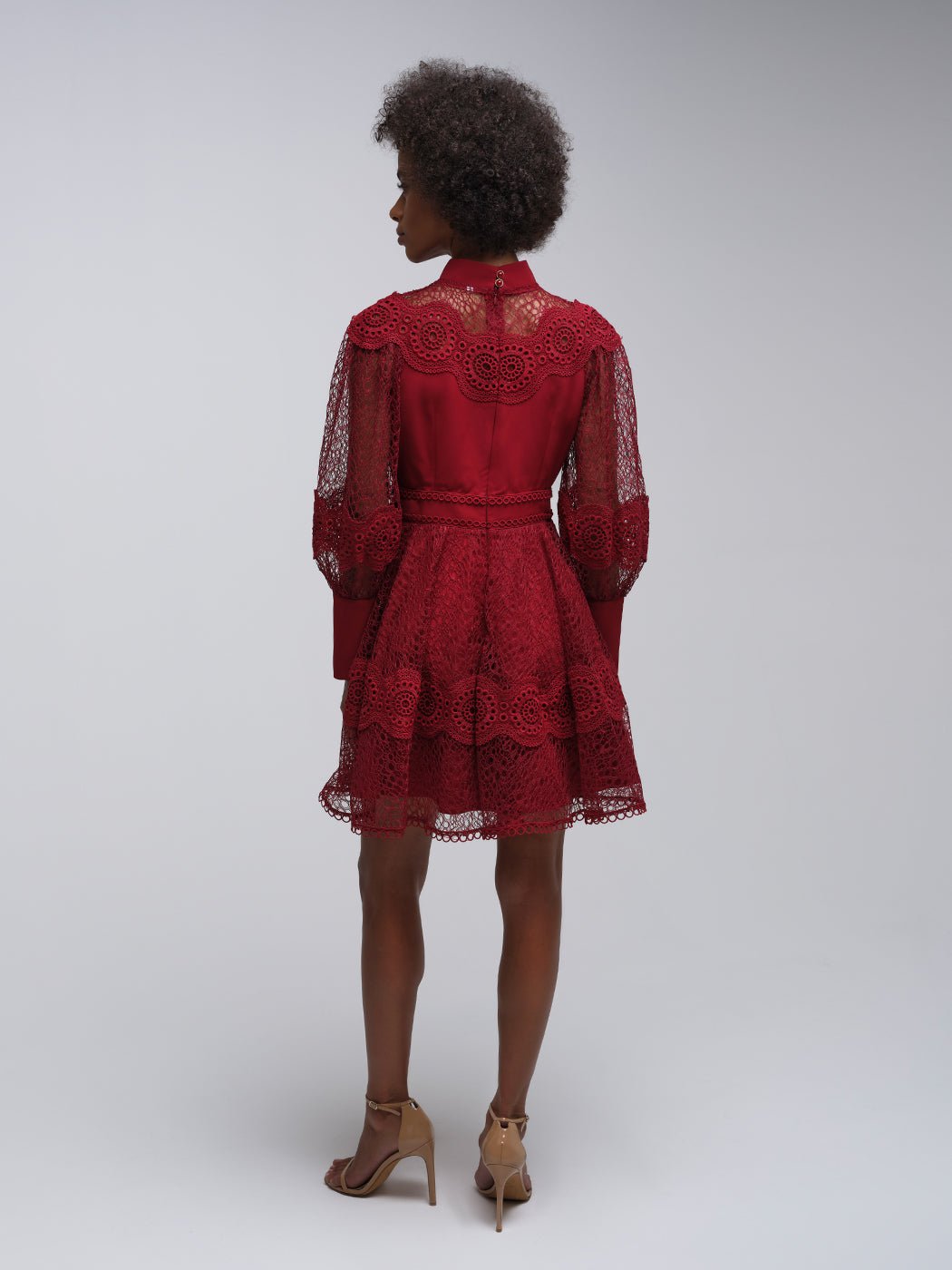 Tessie Mesh Applique Buttoned Mini Dress - Glory Connection