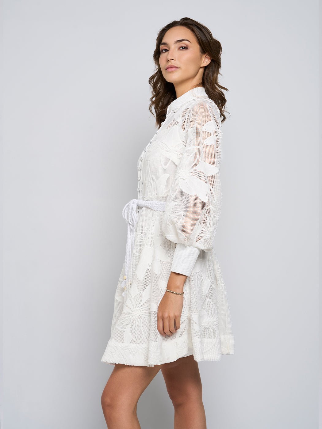 Tessie Mesh Applique Buttoned Mini Dress - Glory Connection