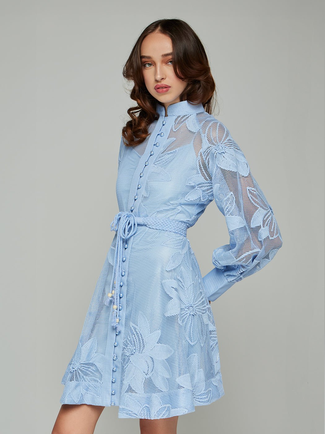 Tessie Mesh Applique Buttoned Mini Dress - Glory Connection
