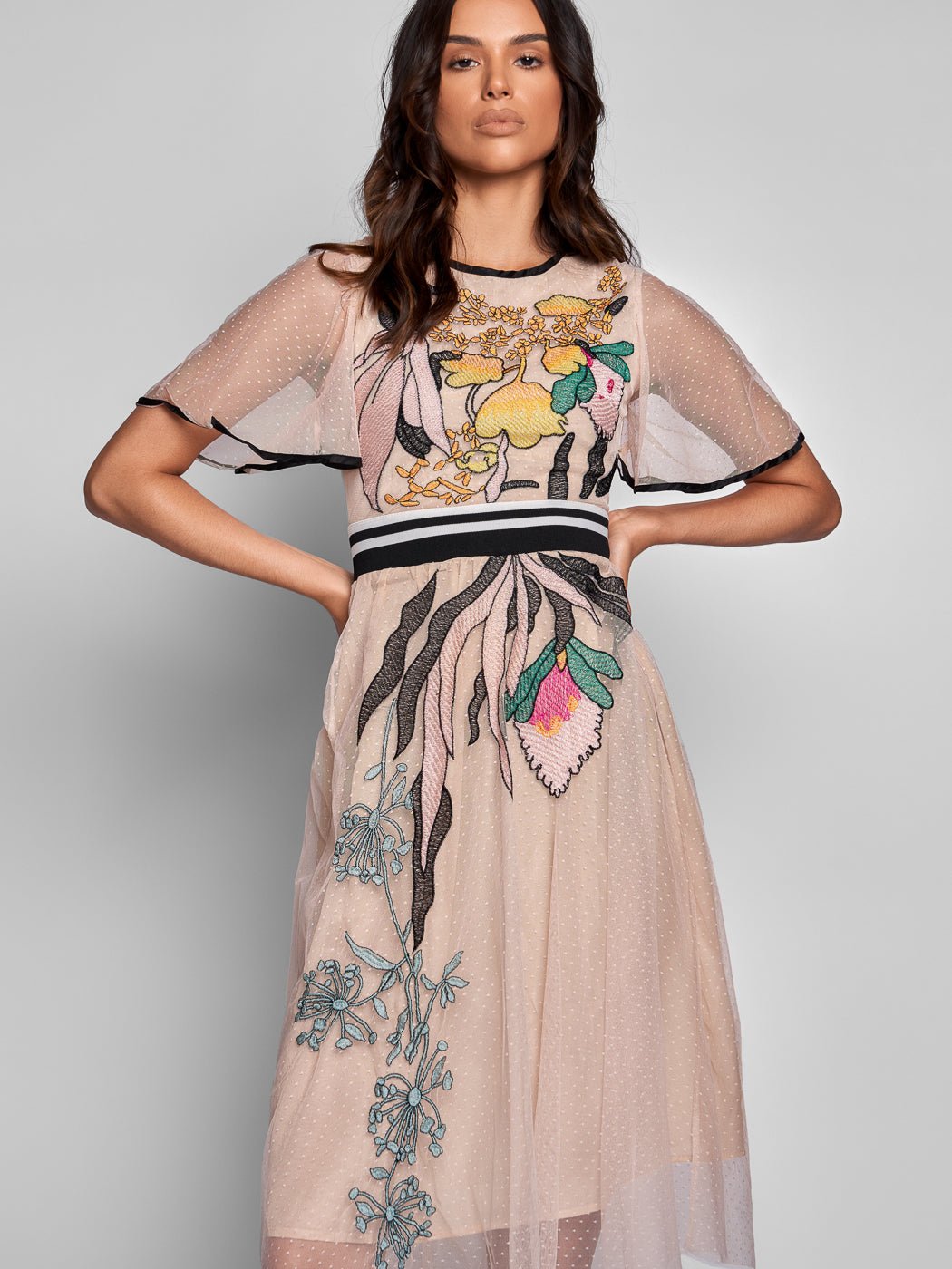 Dixie Mesh Midi Dress - Glory Connection