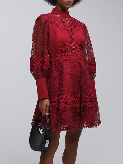 Tessie Mesh Applique Buttoned Mini Dress