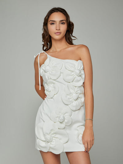 Alesha Floral Applique Mini Dress