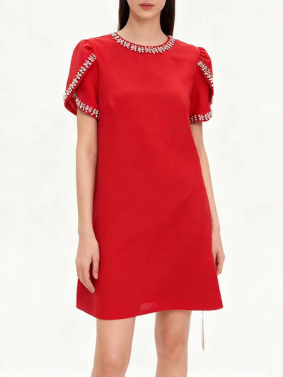 Betty Beaded Sleeve Mini Dress