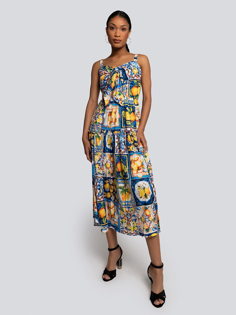 Elodie Fruit Medley Print Midi Sleeveless Sundress - Glory Connection