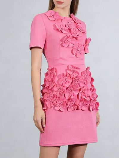 Isabella Floral Applique Mini Dress