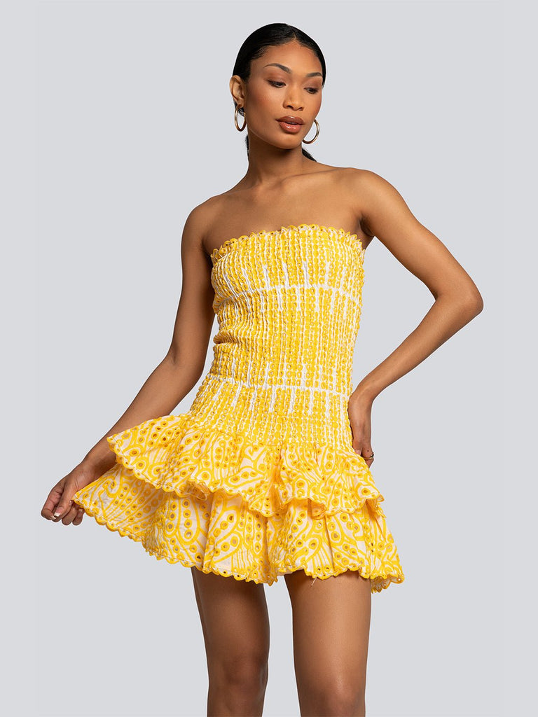 Janelle Smocked Bodice Bandeau Ruffle Mini Dress - Glory Connection