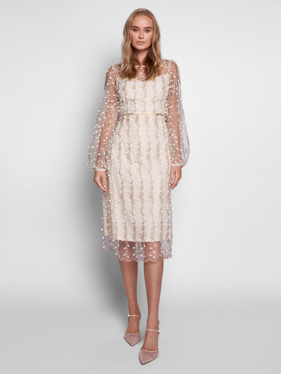 Sofia Mesh Midi Dress